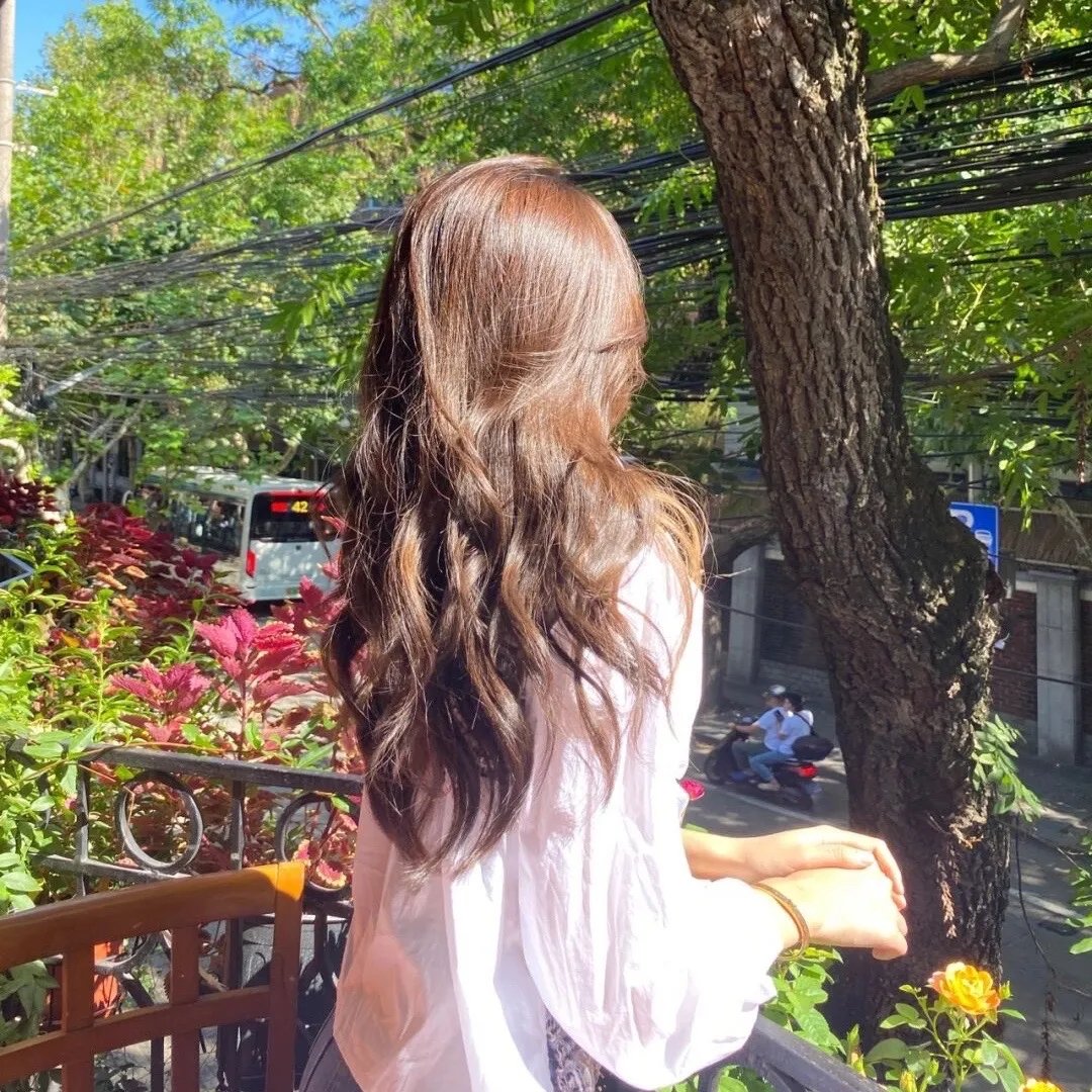 烟花女驼龙