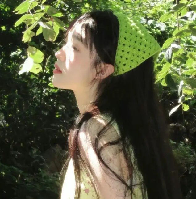 男极探射灯